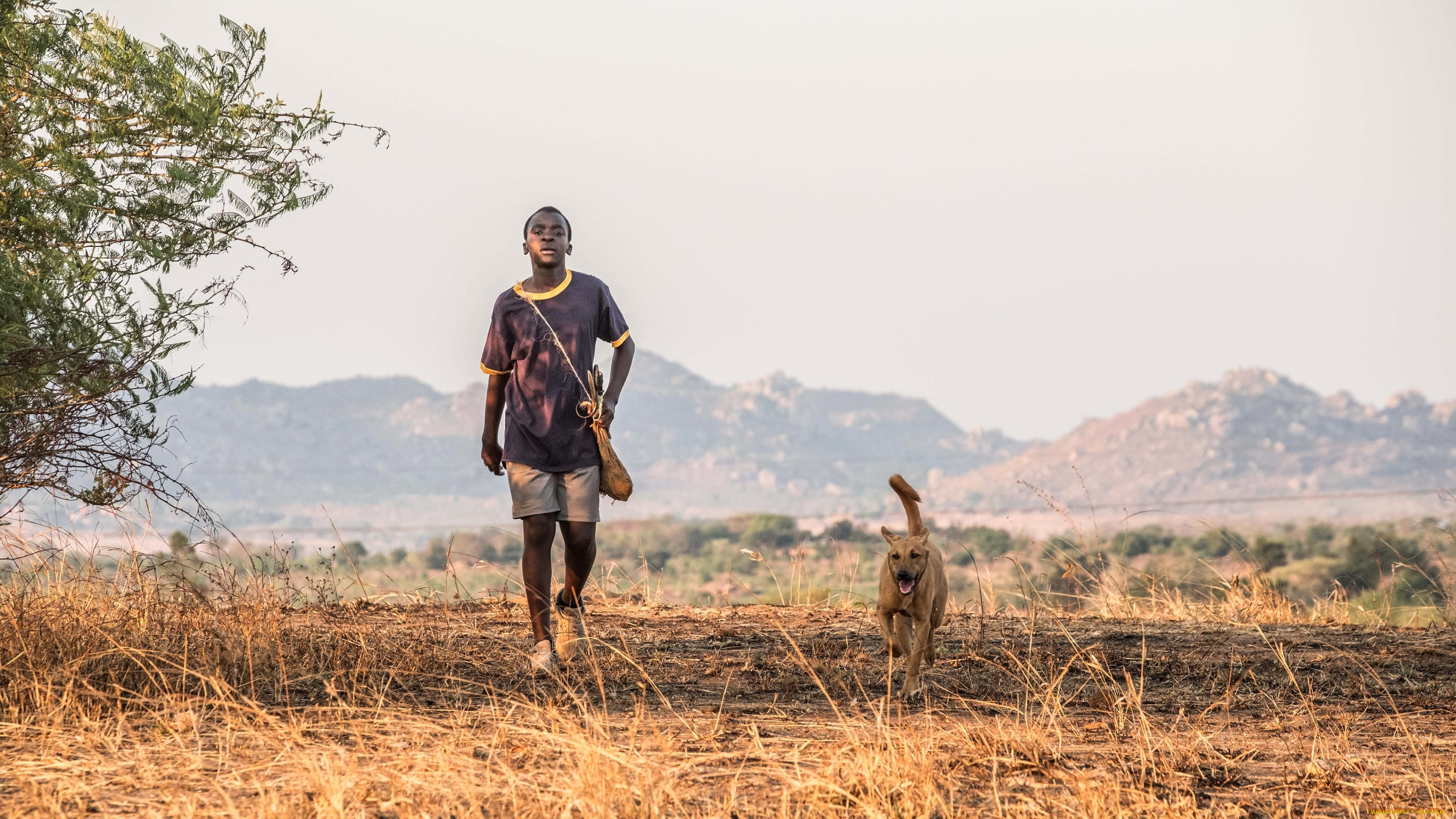  , the boy who harnessed the wind, the, boy, who, harnessed, wind